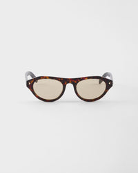 Soleil Tortoise